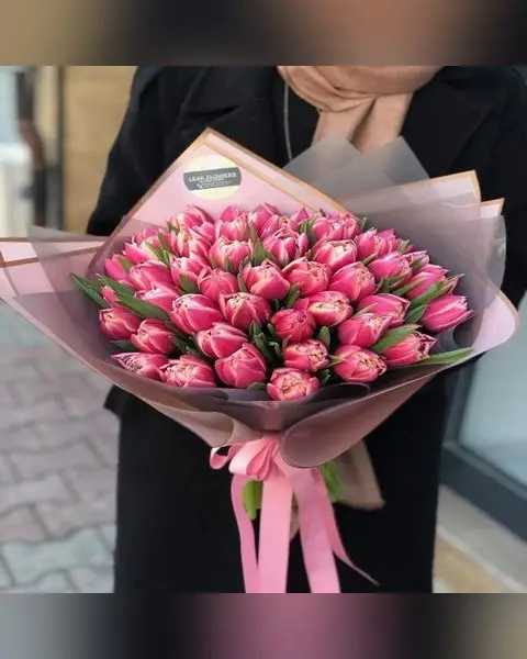 Pembe Lale Demeti