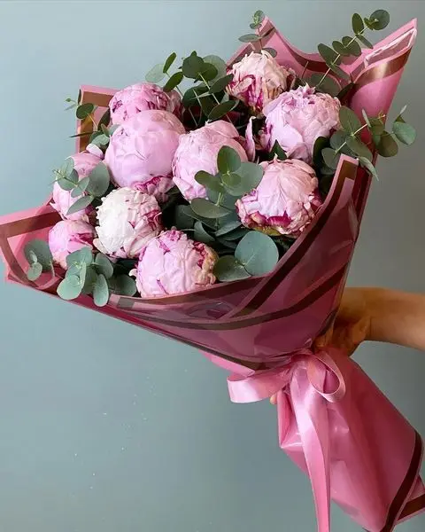 Pembe Şakayık Kucağı