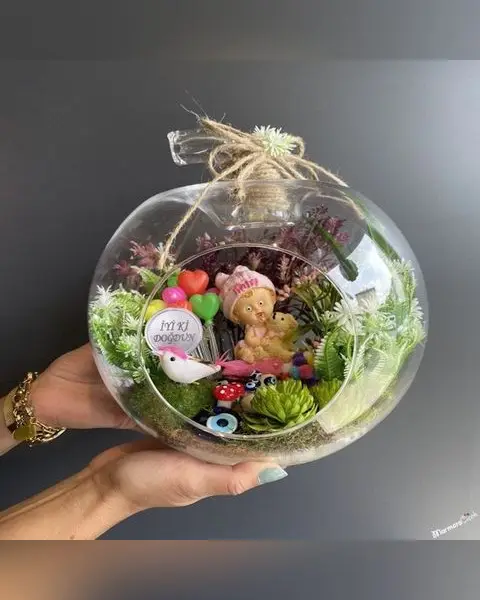 Kız Bebek Hoş Geldin Teraryumu